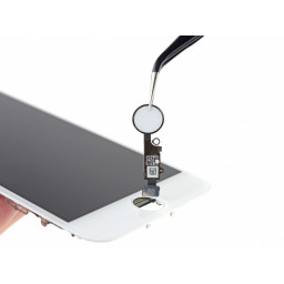 iPhone 8 Home / Замена сенсорного ID датчика
